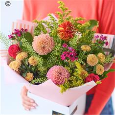 Dahlia Hand-tied