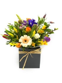Spring Handtied