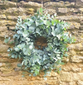 Eucalyptus Wreath