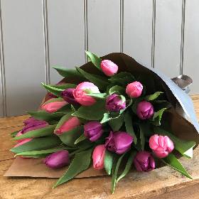 Tulip Wrap