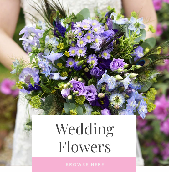 Buy flowers online